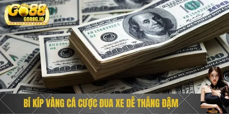 Cá cược đua xe F1 kịch tính, hấp dẫn