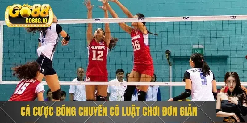 Cá cược bóng chuyền có luật chơi đơn giản