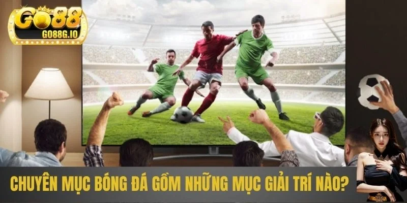 Chuyên mục bóng đá gồm những mục giải trí nào?