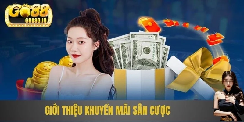Giới thiệu khuyến mãi sân cược