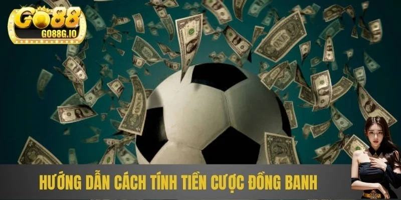 Hướng dẫn cách tính tiền cược đồng banh