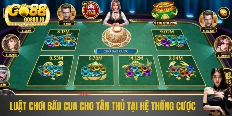 Luật chơi bầu cua cho tân thủ tại hệ thống cược